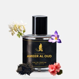 Ameer Al Oud